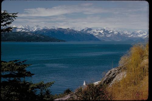 Views of Glacier Bay National Park and Preserve, Alaska