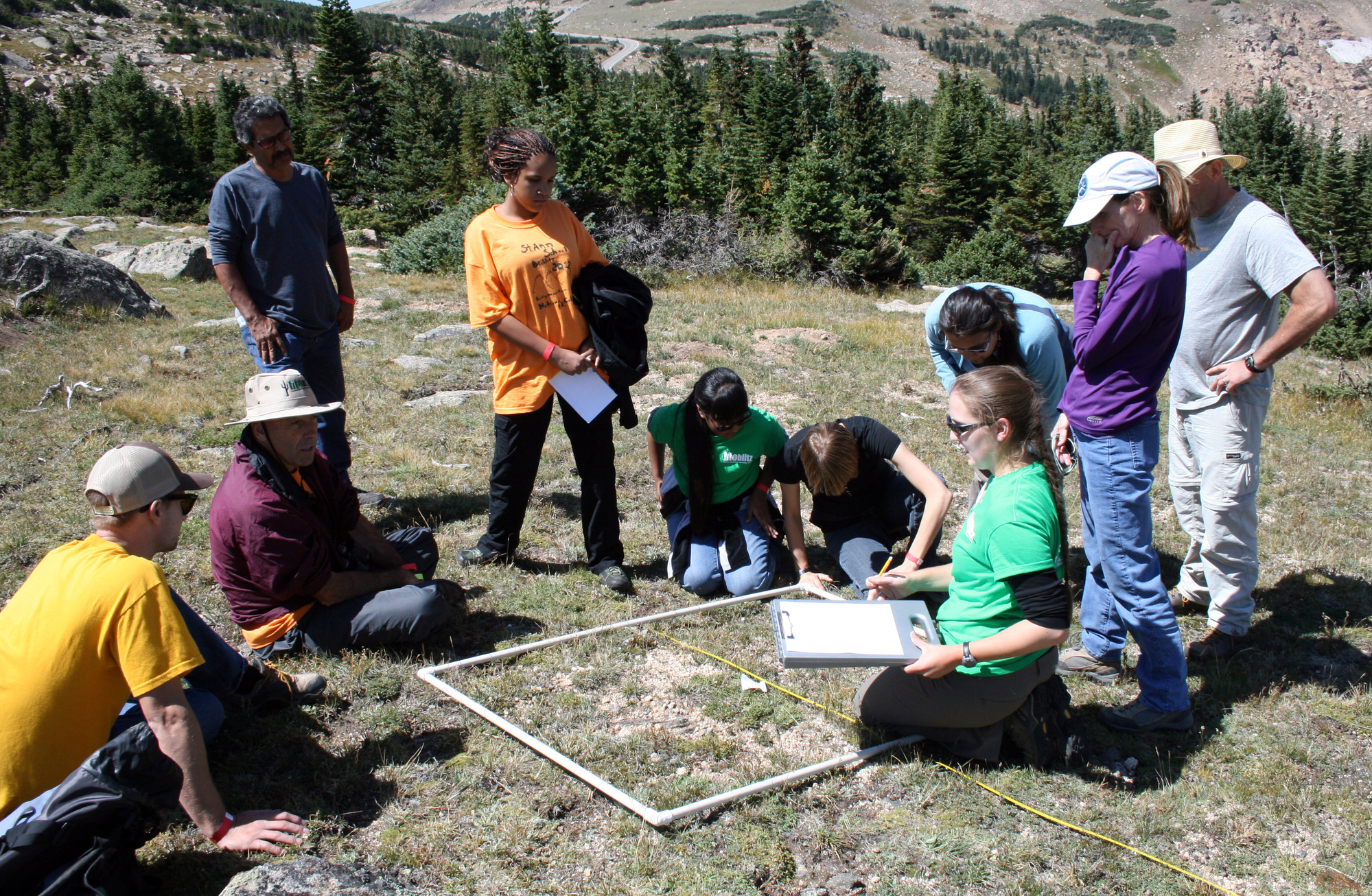 Participants on a vacsular plant inventory in the alpine tundra.
