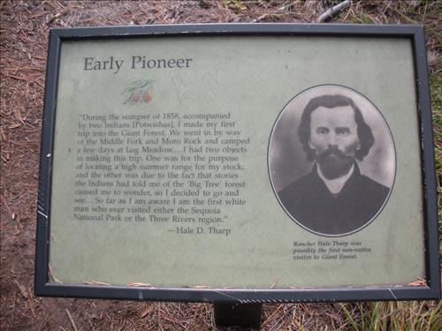 Giant Forest--Unpaved Trails--waysides--Sequoia and Kings Canyon National Park--12/2009