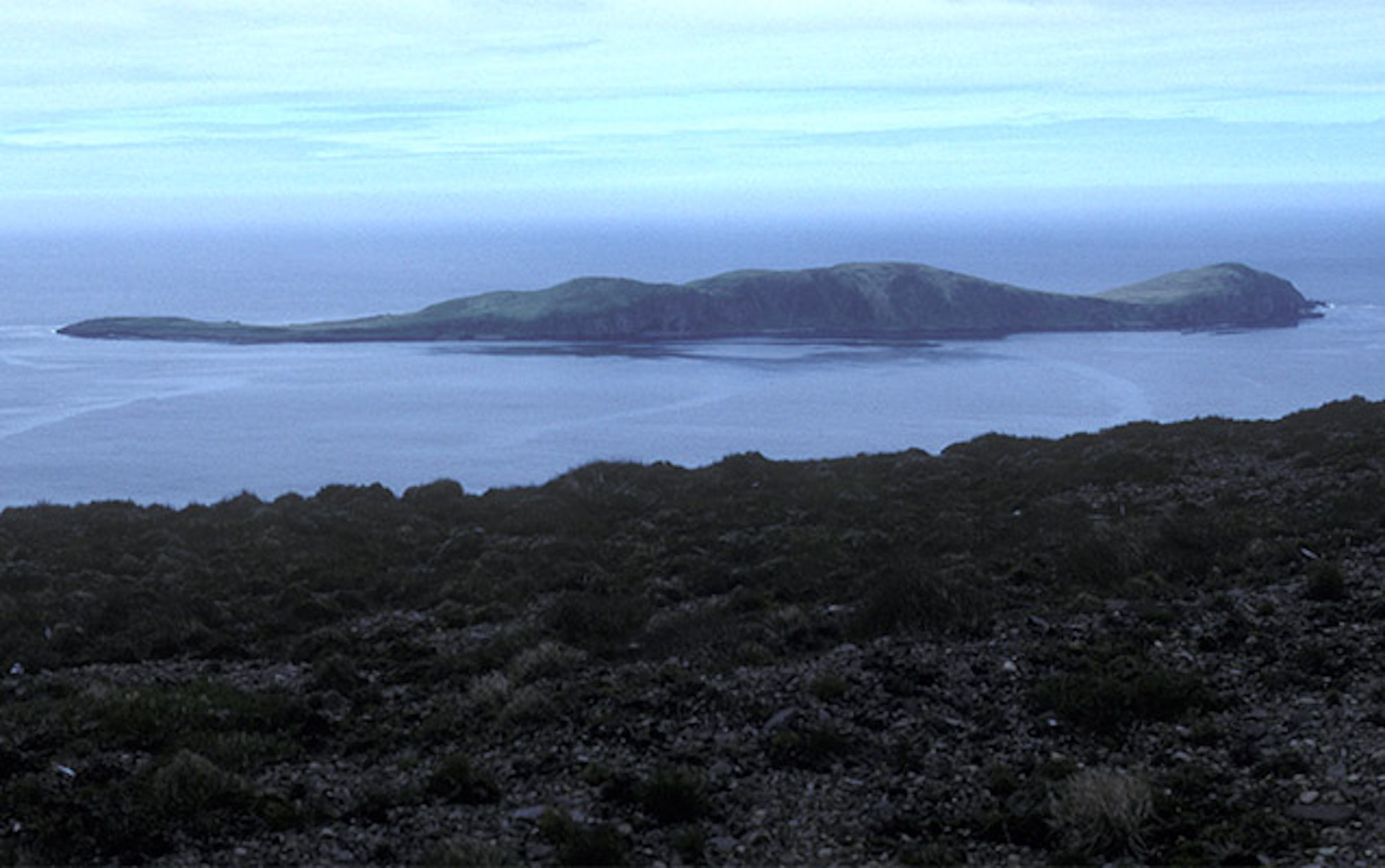 The silhouette of Ananiuliak Island looks like a swimming seal.