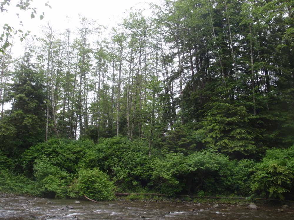 representative photo