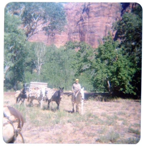 Horse pack-train heading for the East Rim for trail maintenance work.