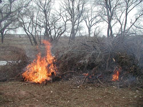 Hubbell Trading Post Exotic Species Pile Burning, February 2002