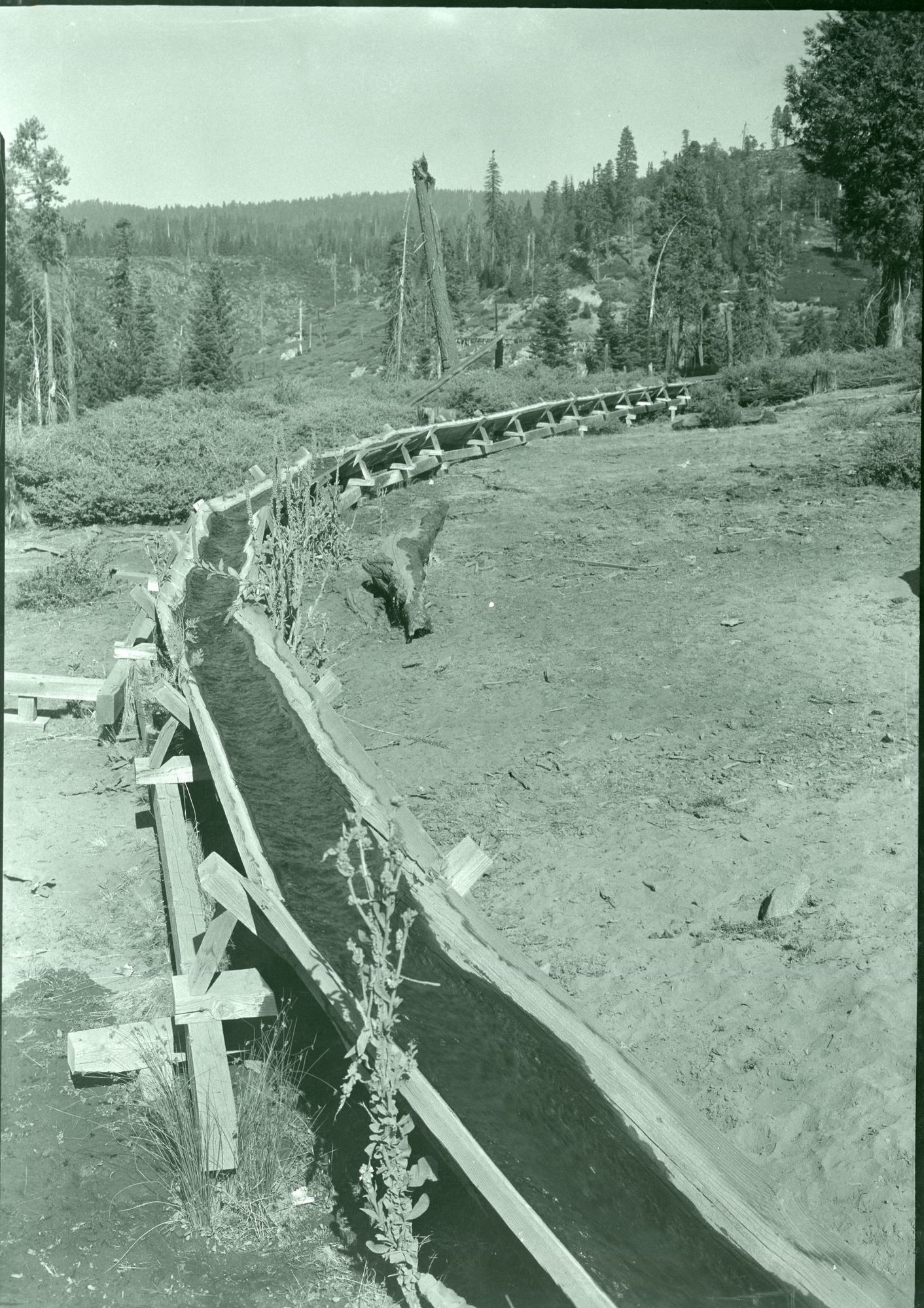 Sugar Pine Lumber Co. flume at road crossing.