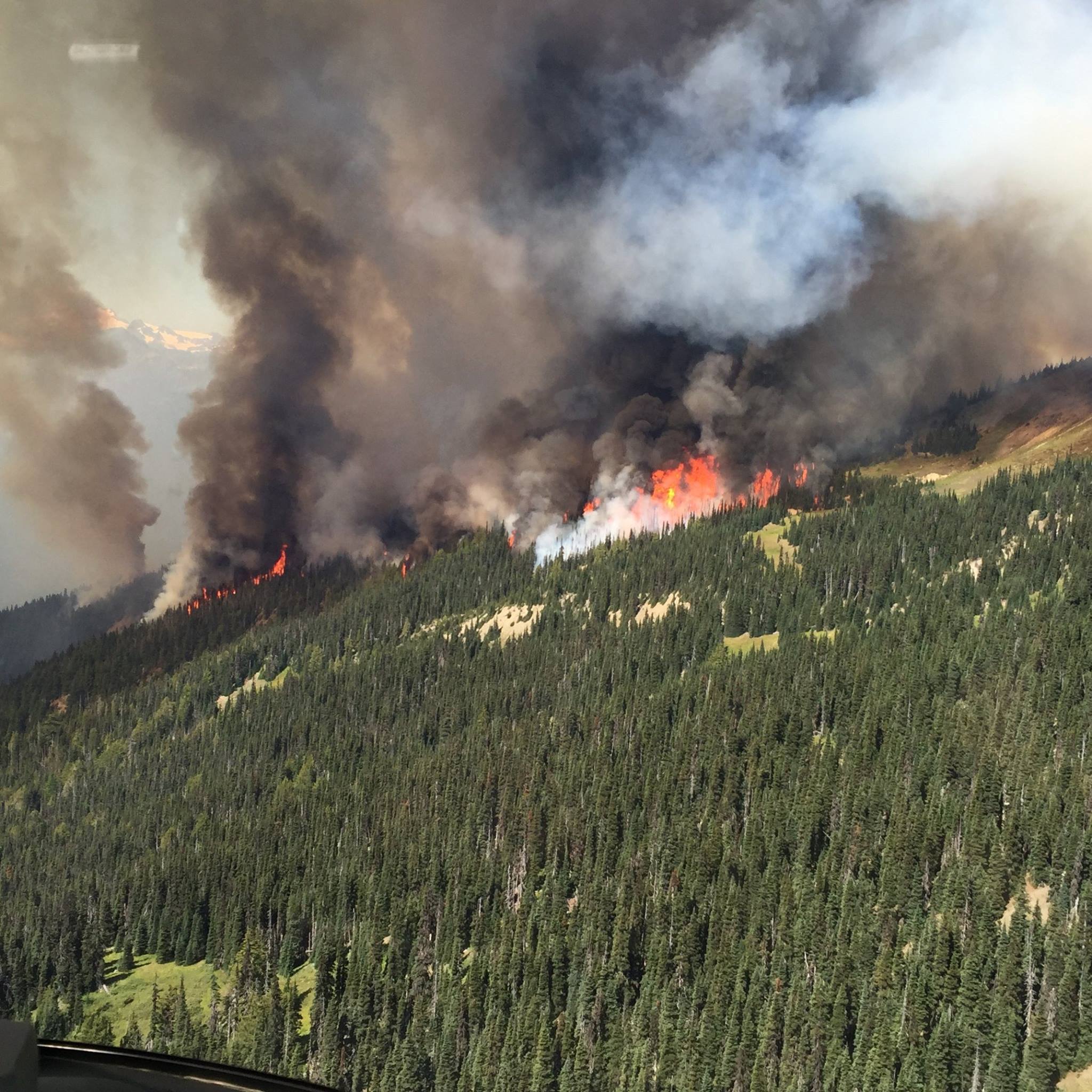 Red flames and dark gray smoke rise from a forested hillside