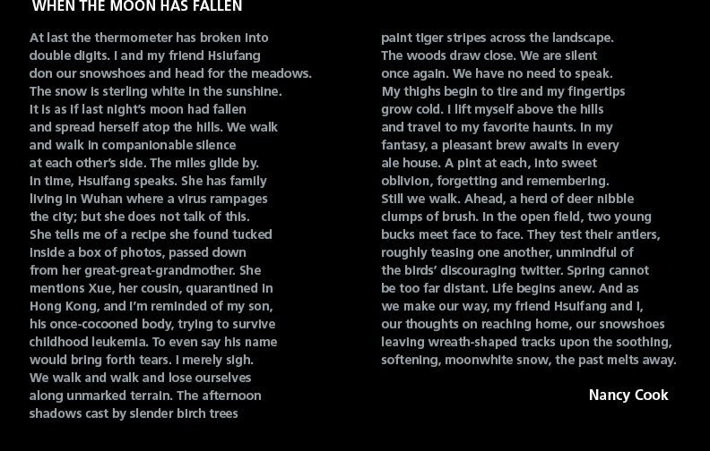 At last the thermometer has broken into double digits. I and my friend Hsiufang don our snowshoes and head for the meadows. The snow is sterling white in the sunshine. It is as if last nightÕs moon had fallen and spread herself atop the hills. We walk and walk in companionable silence at each otherÕs side. The miles glide by. In time, Hsuifang speaks. She has family living in Wuhan where a virus rampages the city; but she does not talk of this. She tells me of a recipe she found tucked inside a box of photos, passed down from her great-great-grandmother. She mentions Xue, her cousin, quarantined in Hong Kong, and IÕm reminded of my son, his once-cocooned body, trying to survive childhood leukemia. To even say his name would bring forth tears. I merely sigh. We walk and walk and lose ourselves along unmarked terrain. The afternoon shadows cast by slender birch trees paint tiger stripes across the landscape. The woods draw close. We are silent once again. We have no need to speak. My th