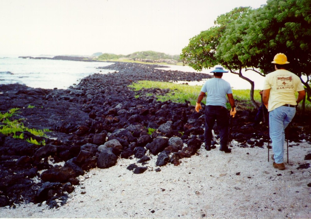 Rebuilding of Kaloko Fishpond Wall