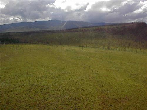 Yukon-Charley Rivers Scenic, 2003 2
