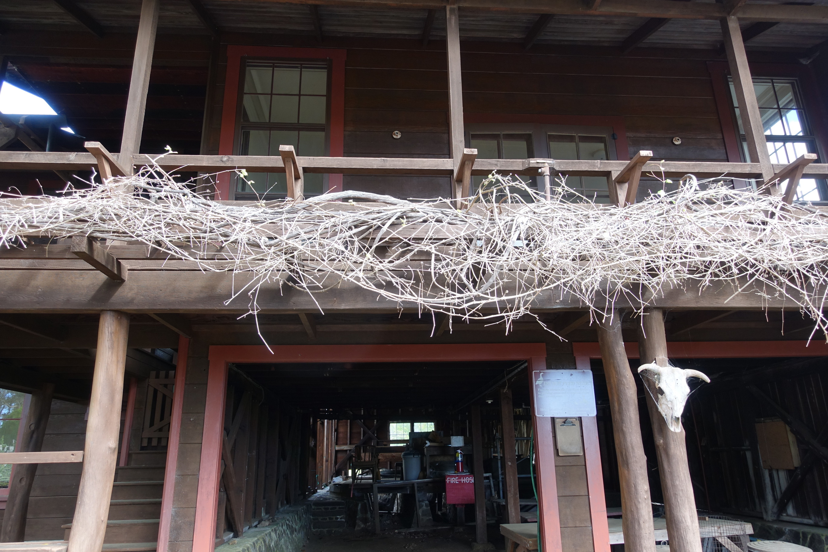 A view looking up towards the second story veranda reveals hay and cattle skull adornments. 