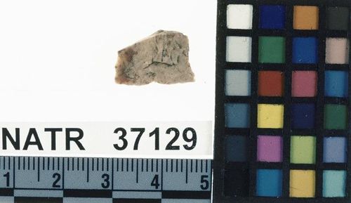 NATR   37129 -- Late Woodland / Miss Triangular Cluster projectile point