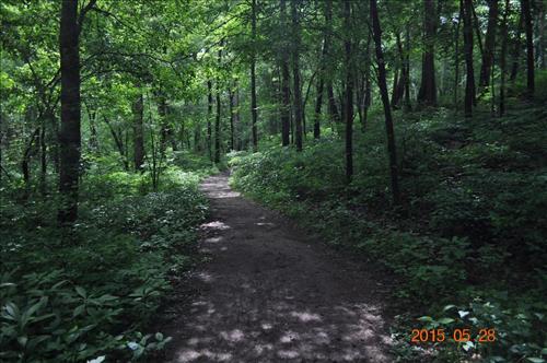 Echo River Springs Trail