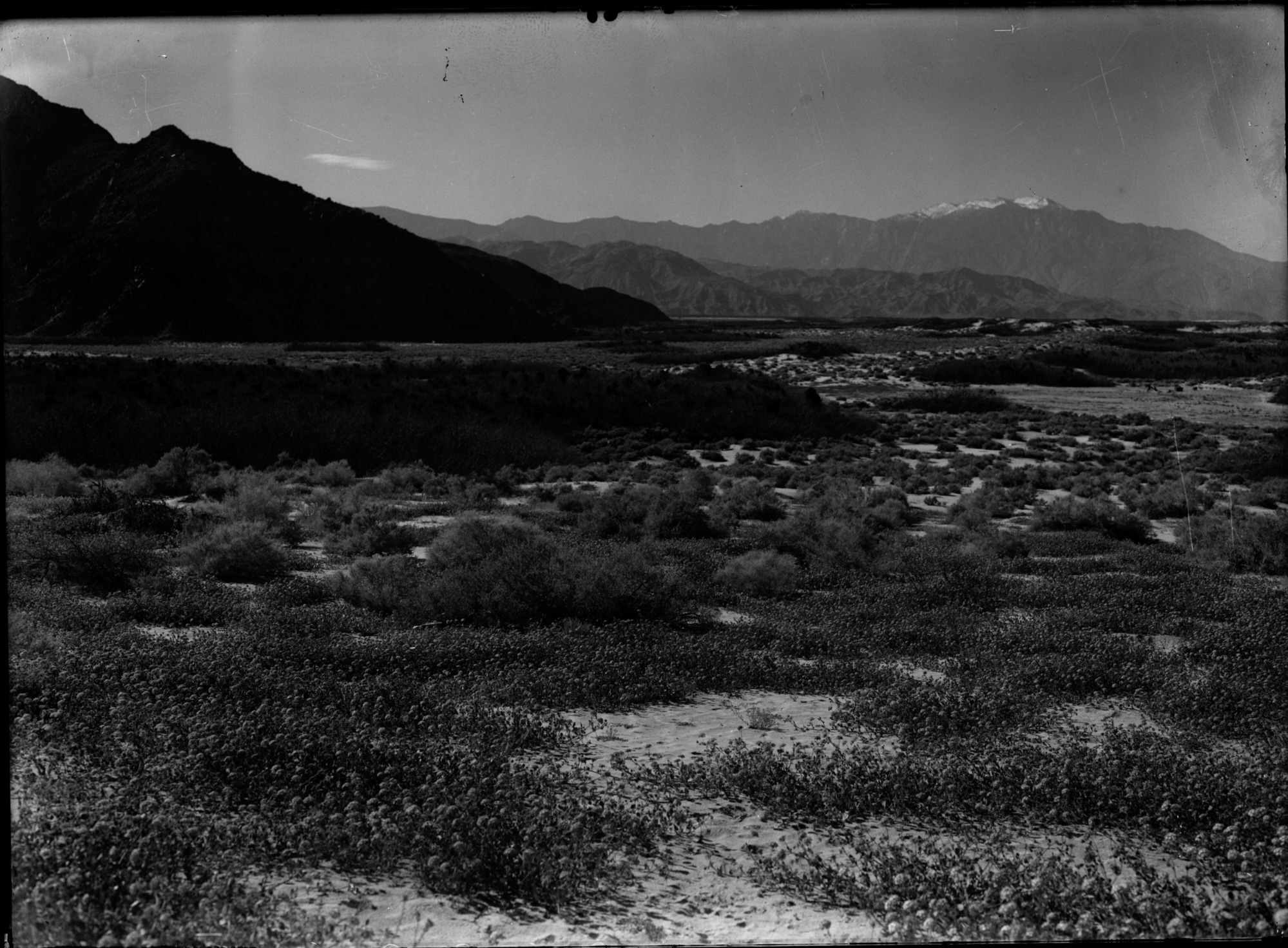 SEKI Roberts Collection Series: 1 Glass Plates; 1 Small glass plates; 10 Outside of the Park