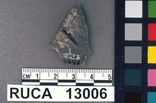 RUCA   13006 -- Point, Projectile