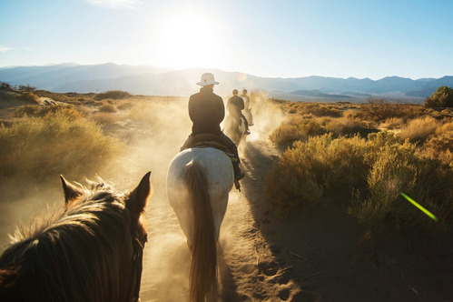 A line of horses and riders from the back traveling on a dusty path surrounded by desert plants, with the back of a horses head in the lower left and three horses and riders in a line in the middle.