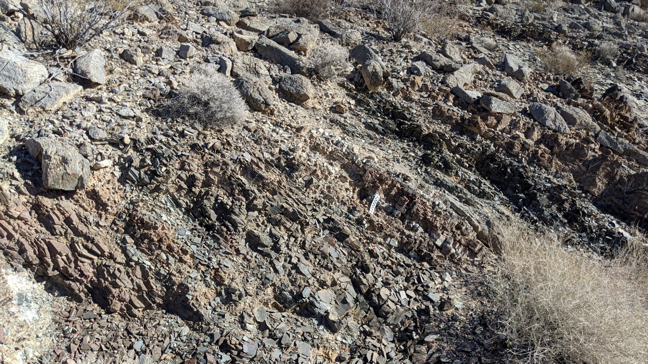 Figure 5. A photo of a series of low, rough, weathered outcrops and loose chips of rock, making a washboard surface.