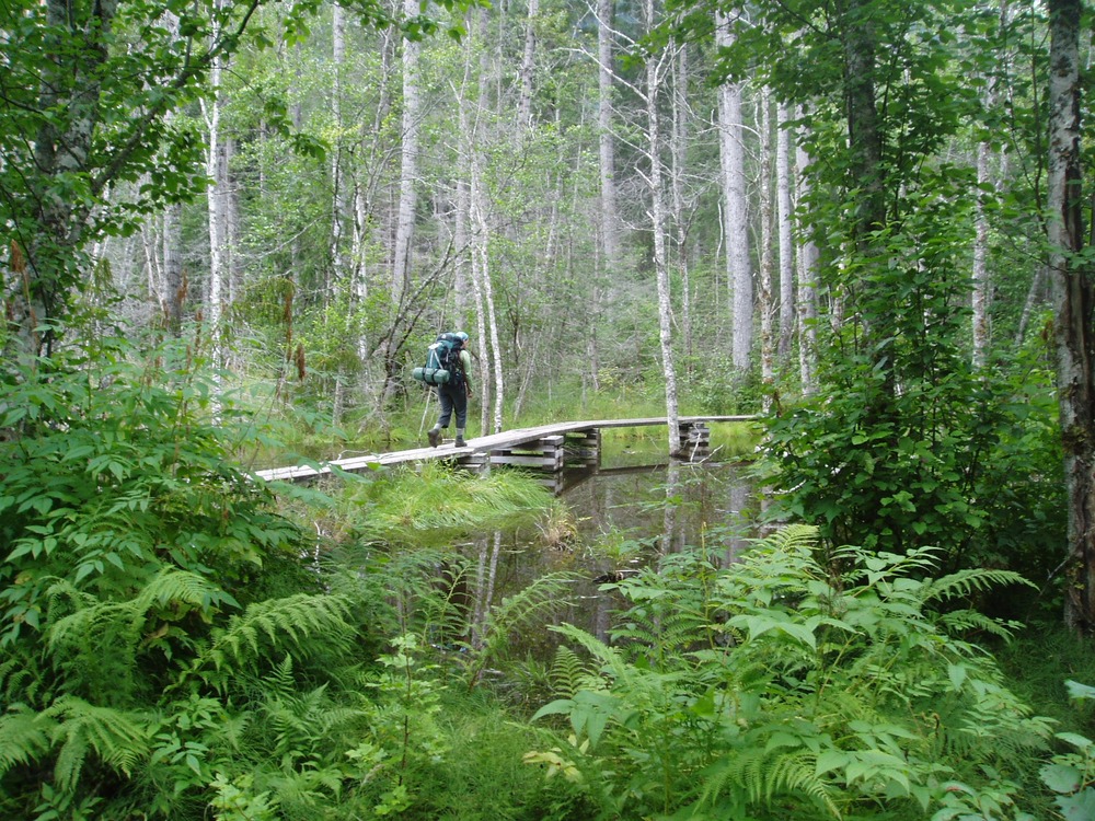 hiking the boardwalk trail over the Beaver Ponds section of Chilkoot Trail by Sandra Snell-Dobert