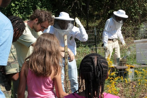 Volunteers lead a pollinator program in the community garden