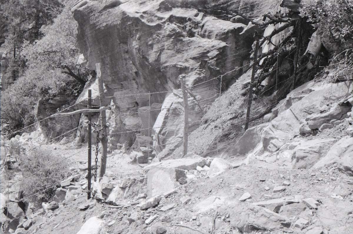 BW photo of the 1937 grazing study 35MM. Photo of fence and gate.