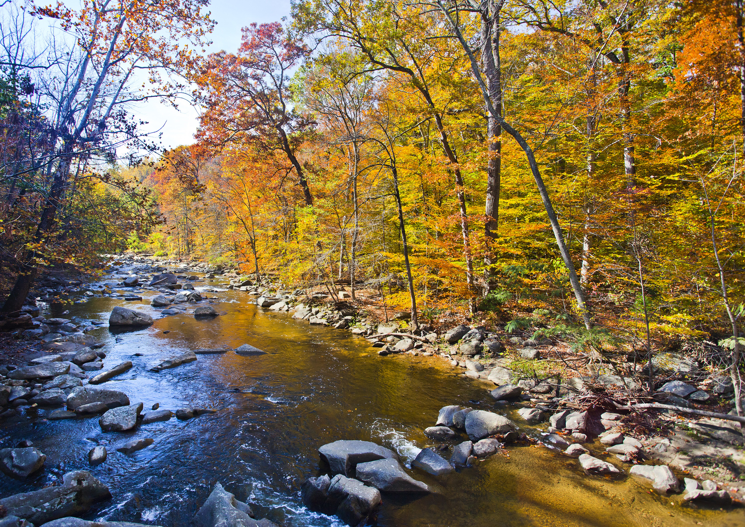 Several trees with yellow, orange, and green leaves line a small creek flowing down Rock Creek Park. The colors of the leaves reflect in the water. 