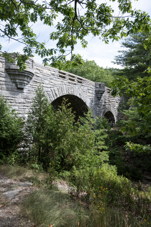 A stone bridge and some small plants.
