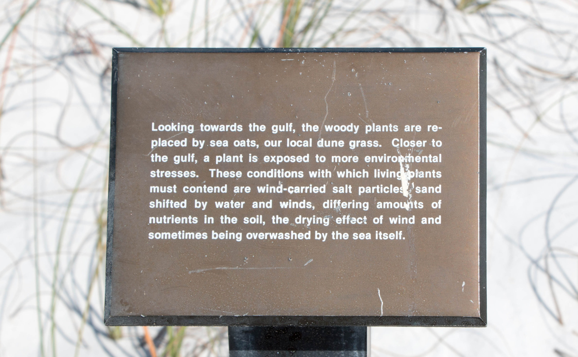 Dune Nature Trail Sign 5