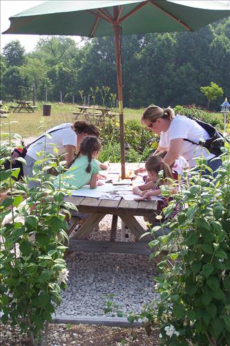 Junior Ranger, Butterfly's Breakfast, Crafts