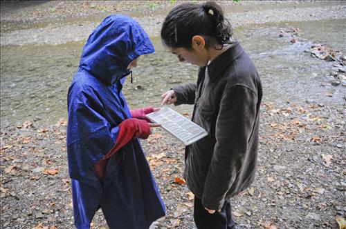 Cuyahoga Valley Environmental Education Center, Chippewa Creek Water Testing1