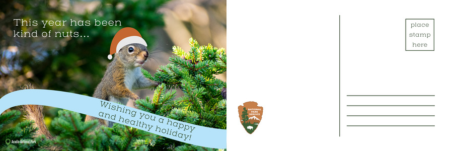 Photo of a squirrel on a tree limb, wearing an animated holiday hat. Text over photo reads "This year has been kind of nuts...wishing you a happy and healthy holiday!"