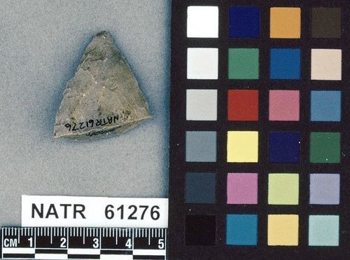 NATR   61276 -- Untyped projectile point