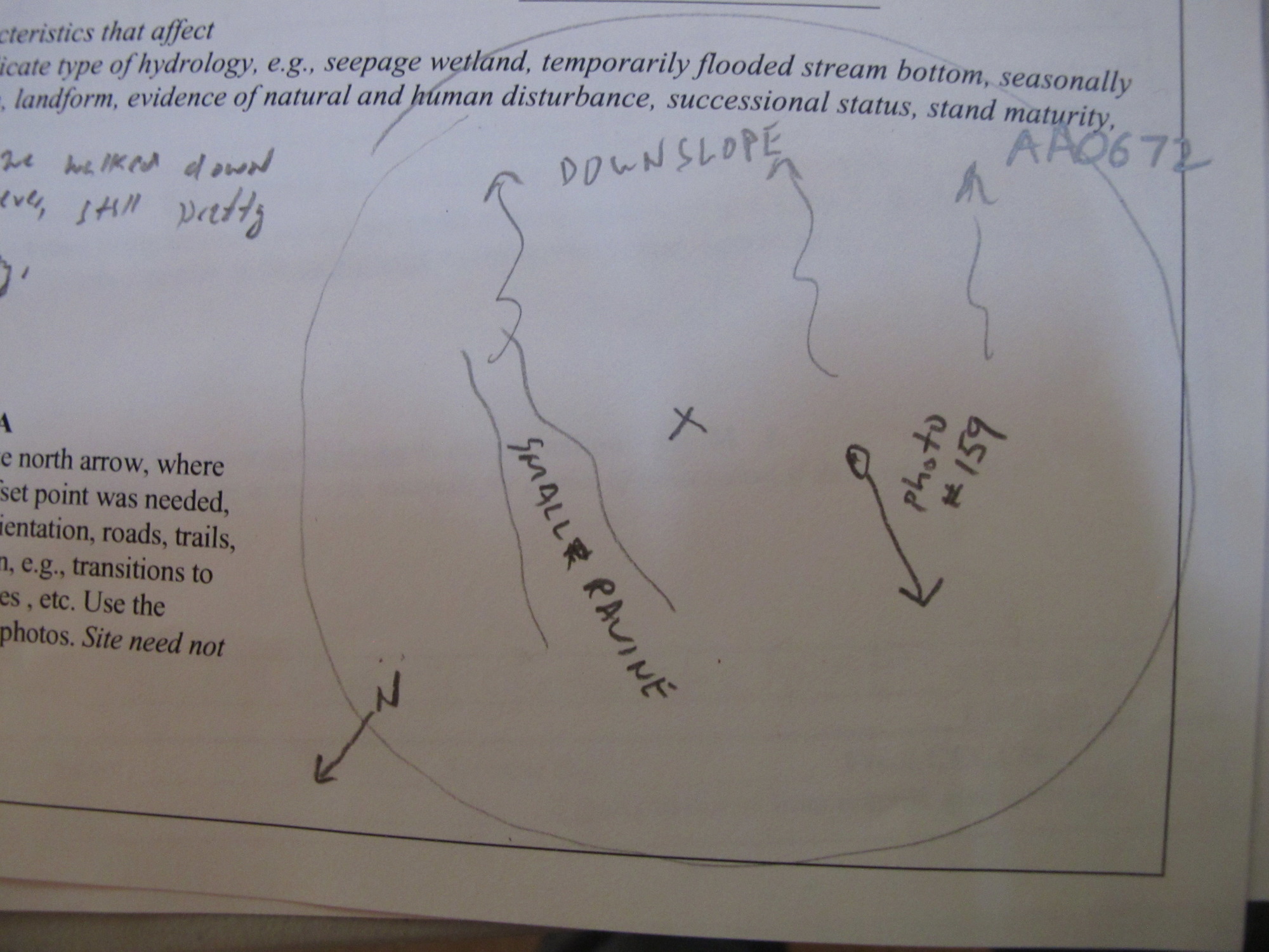 GRSM Accuracy Assessment. Plot Code: GRSM_AA_0672_7