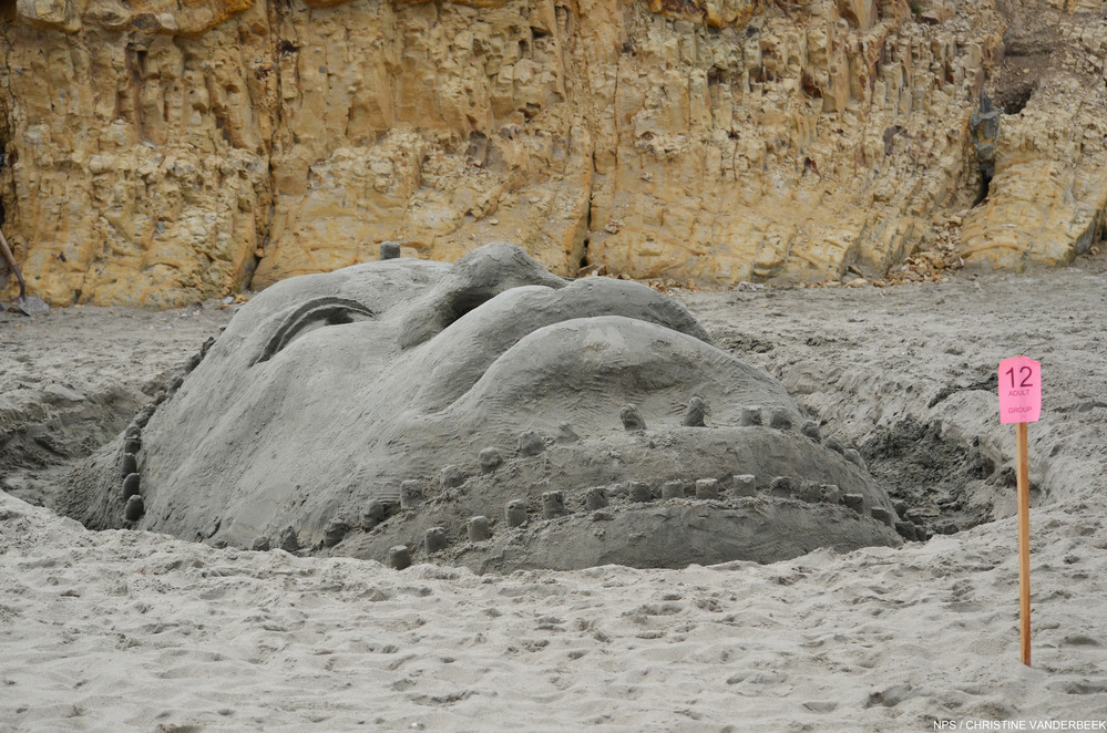 2013 Sand Sculpture Contest: Adult/Family Group 1st Place Winner: Entry #12: King Darius, by Falipa Simpson and Lila Scott
