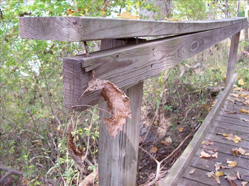 FOWA-Existing Conditions at Fort Washington Park, October 15, 2008