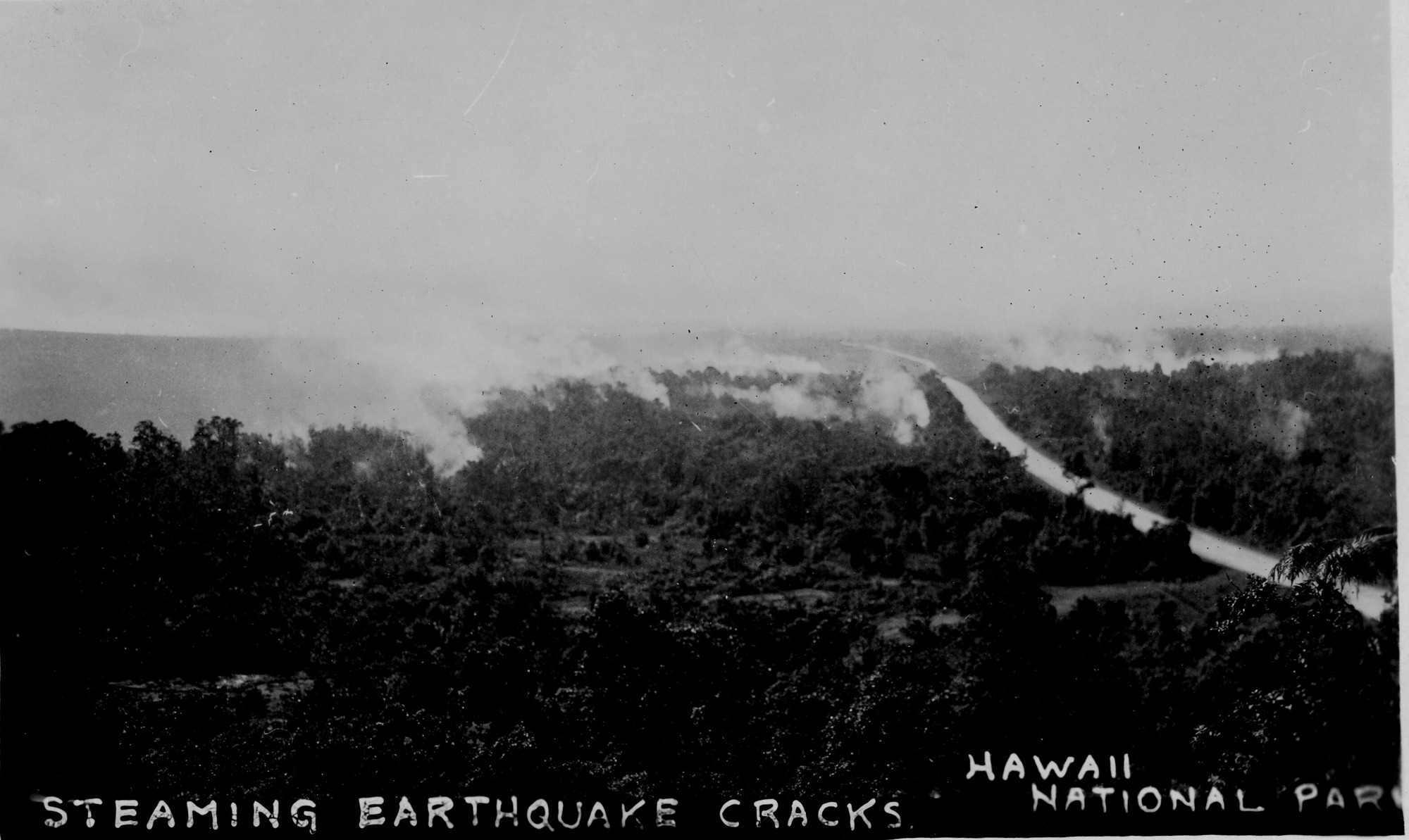 Black and white photograph showing a landscape covered in trees. Near the horizon, steam is emitting from the ground and rising up towards the sky. Handwriting on the photo reads “steaming earthquake cracks Hawaii National Park.”