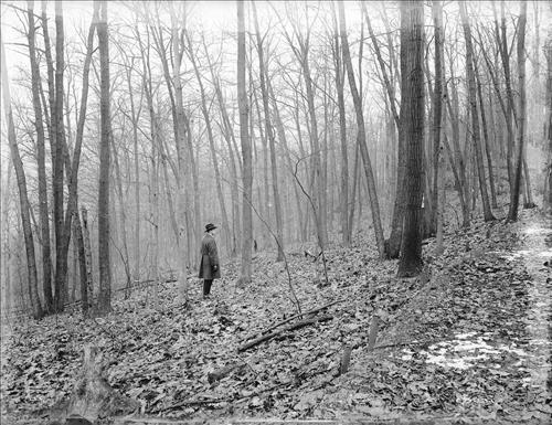 [C5235-CC5244] Mine Brook, NJ