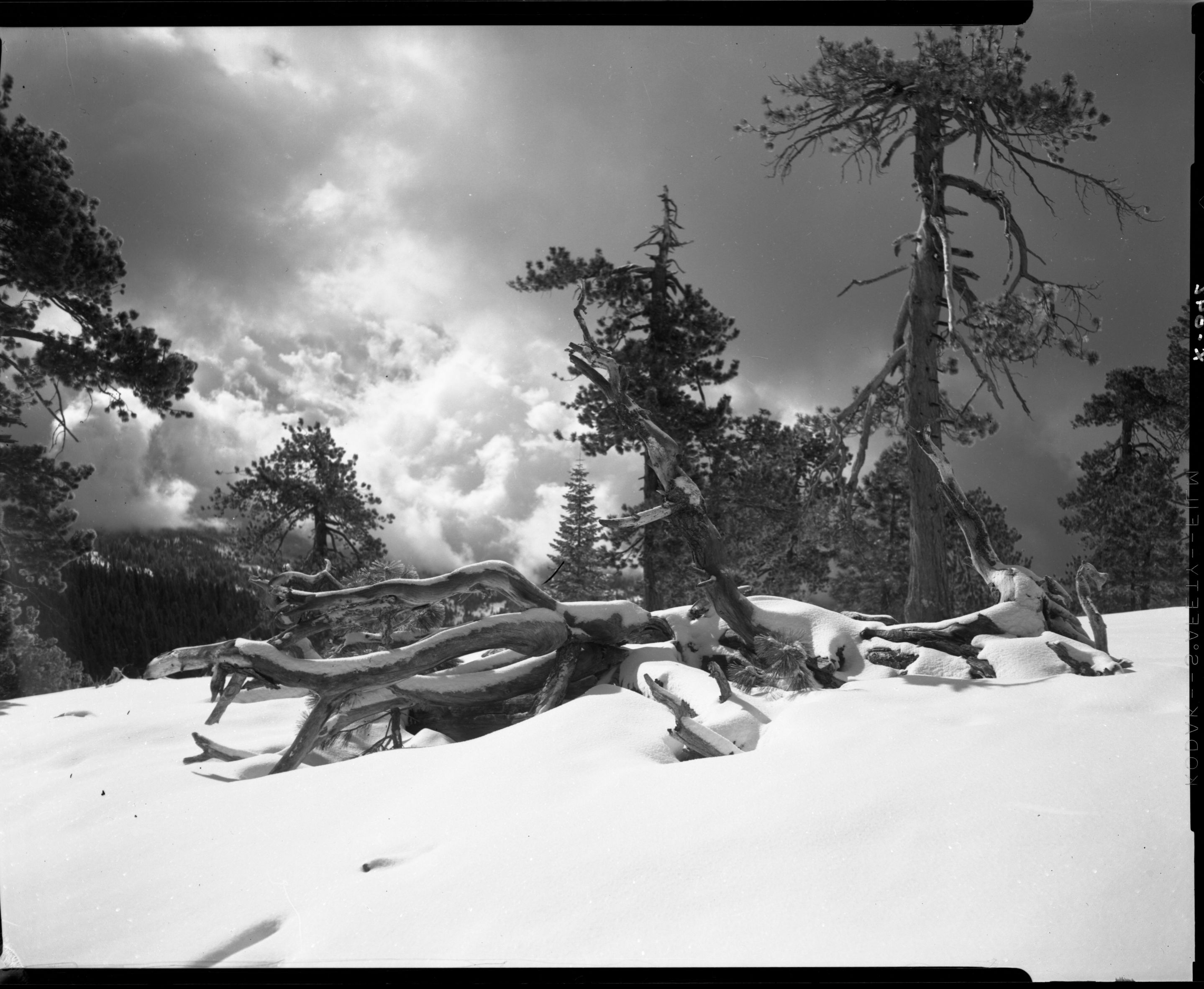 Storm scene at Tempo Dome near Badger Pass.