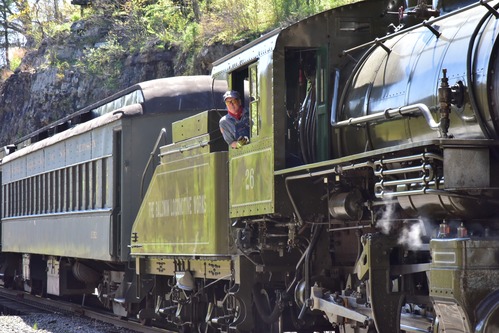 a volunteer leans his top half out the window on the cab of an historic steam locomotive