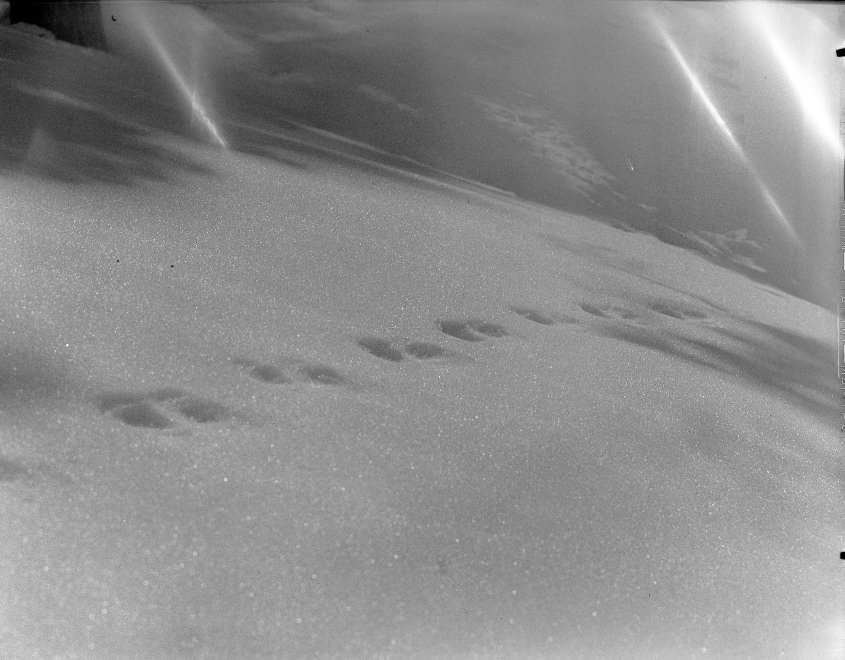 Ski trip to Snow Creek (RL-12,555 - 12,564).