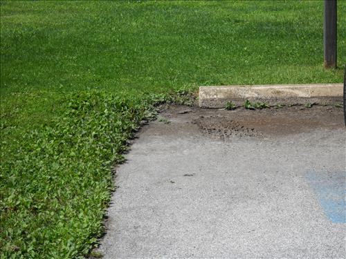 Pooling water in Handicap Access space at James A. Garfield NHS