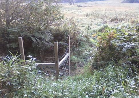Orick Valley Elk Fence Condition