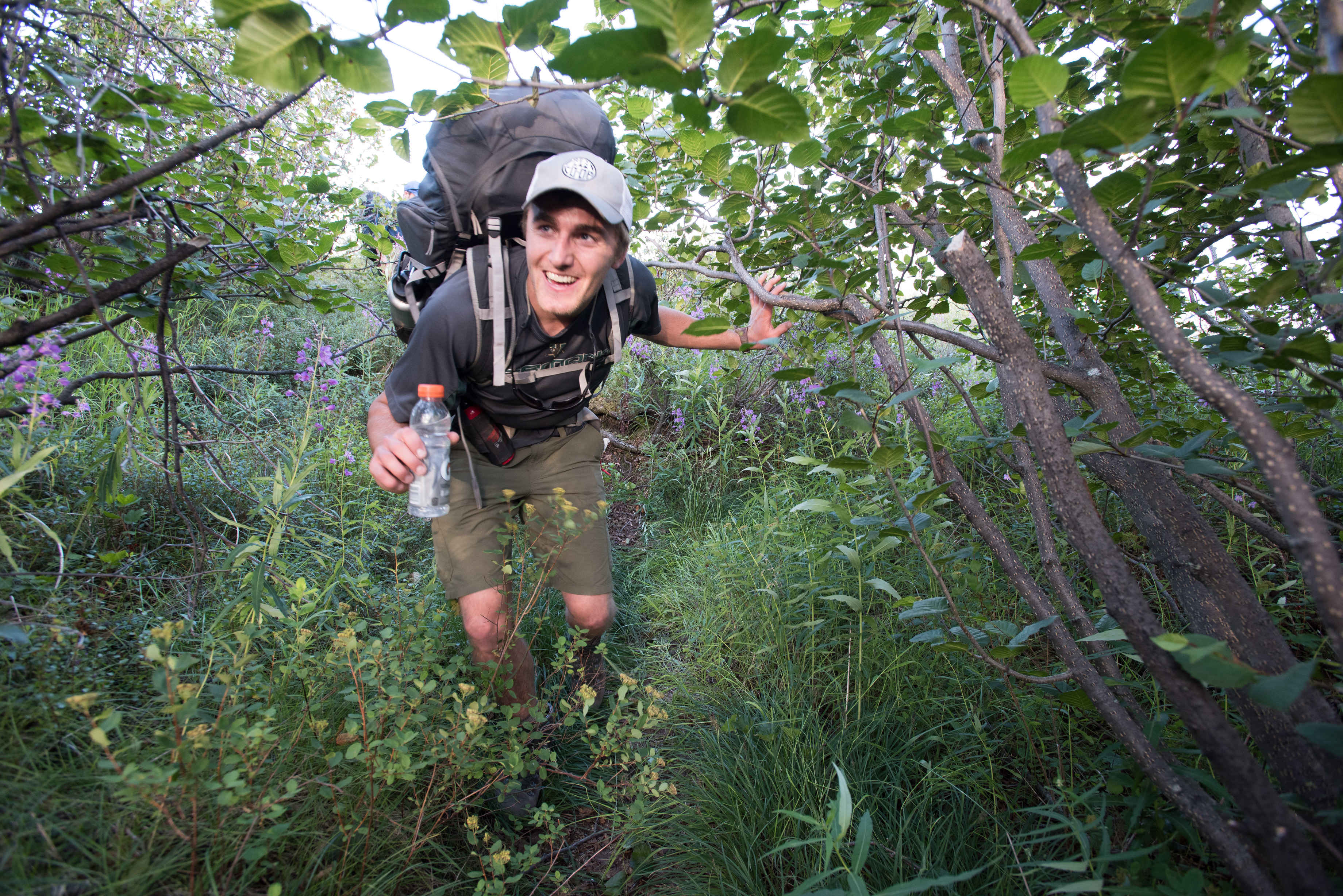 man with large pack bending over to hike through tall bushes