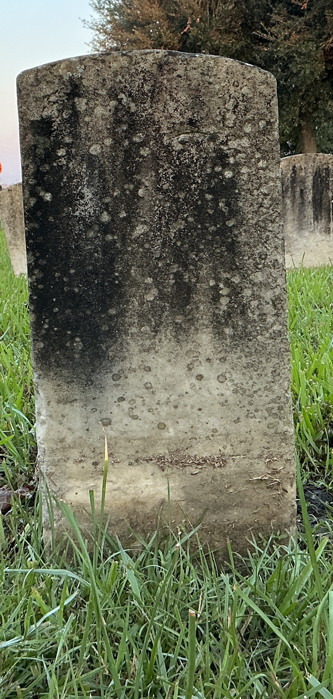 Back of historic upright marble headstone with recessed shield face.