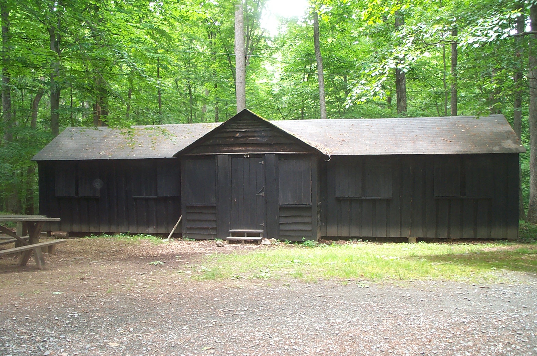 Wooden cabin building at the edge of a green forest