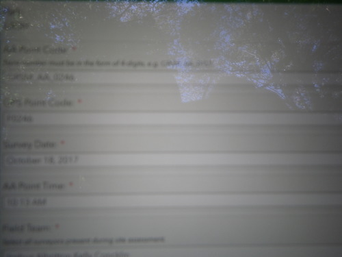 GRSM Accuracy Assessment. Plot Code: GRSM_AA_0246_1