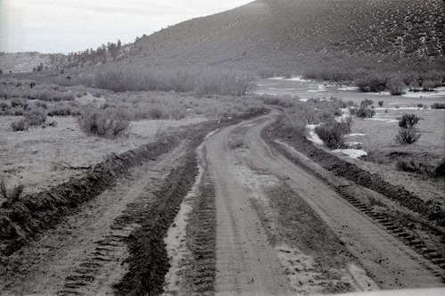 BW photo of the 1937 grazing study 35MM. Graded road in Lee Valley.