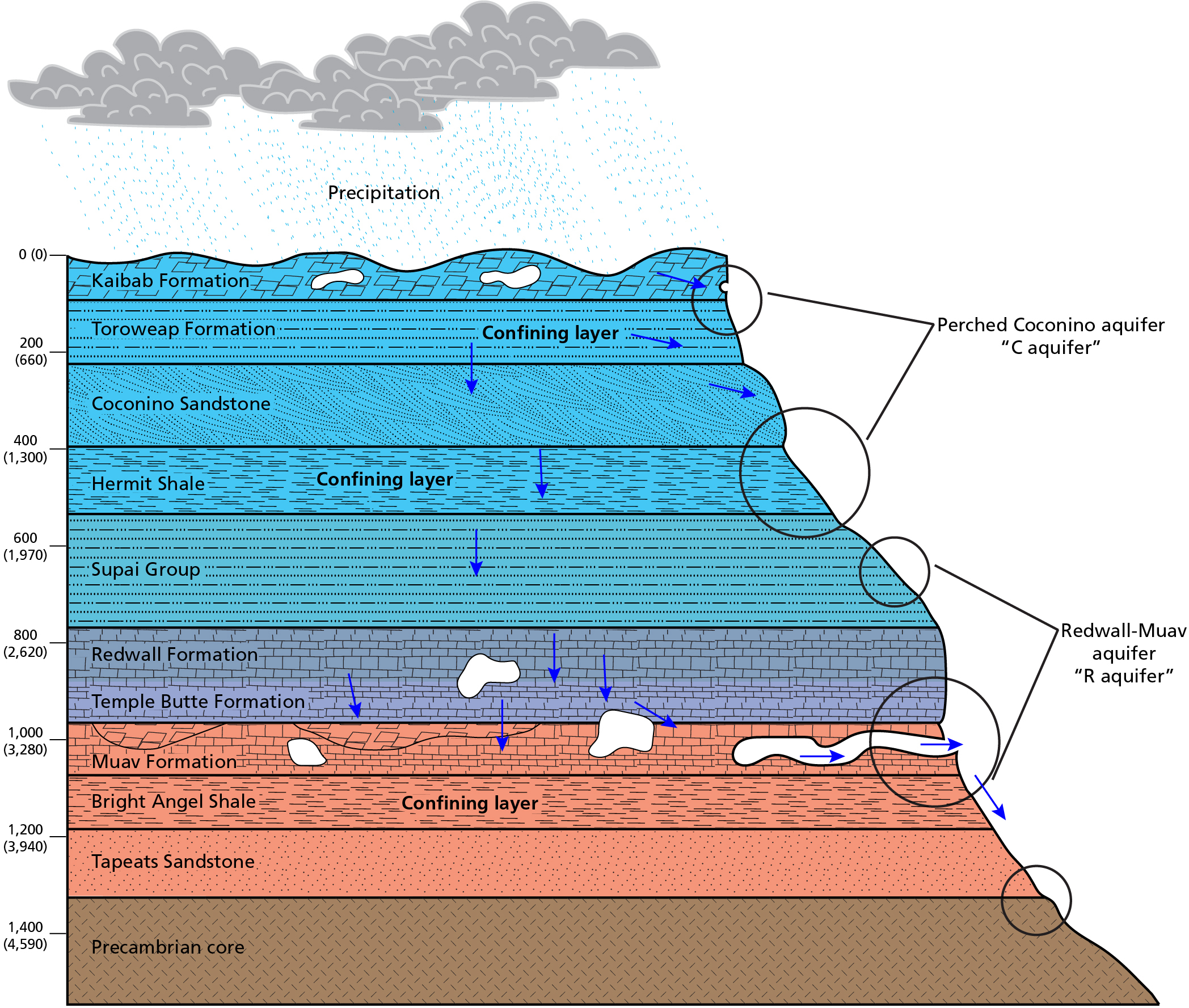 Hydro-stratigraphic schematic profile of the aquifer system in Grand Canyon National Park. The profile shows the layers of rock strata, faults, and location of springs. The three confining layers are the (top to bottom: Toroweap Formation, Hermit Shale, and Bright Angle Shale). The perched Coconino (“C”) aquifer is in the Coconino Sandstone between the Toroweap and Hermit. Springs are adjacent to the confining layers. The Redwall-Muav (“R”) aquifer is between the Hermit and Bright Angel. Large springs are in the Muav above the Bright Angel. 