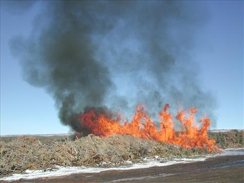 Brush pile burn as part of fuel reduction, Mesa Verde National Park, Jan. 2002