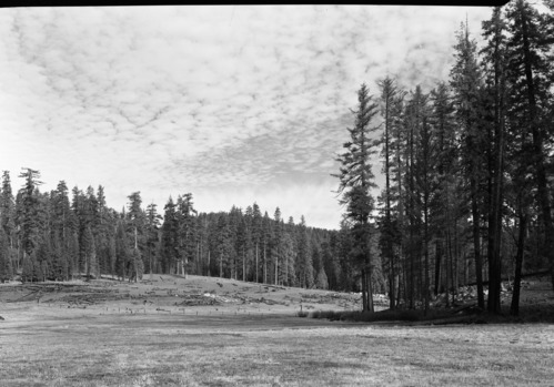 Looking east across meadow at Cuneo property.