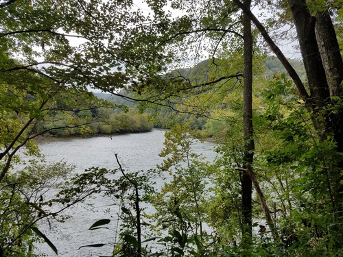 view through trees of a wide river.