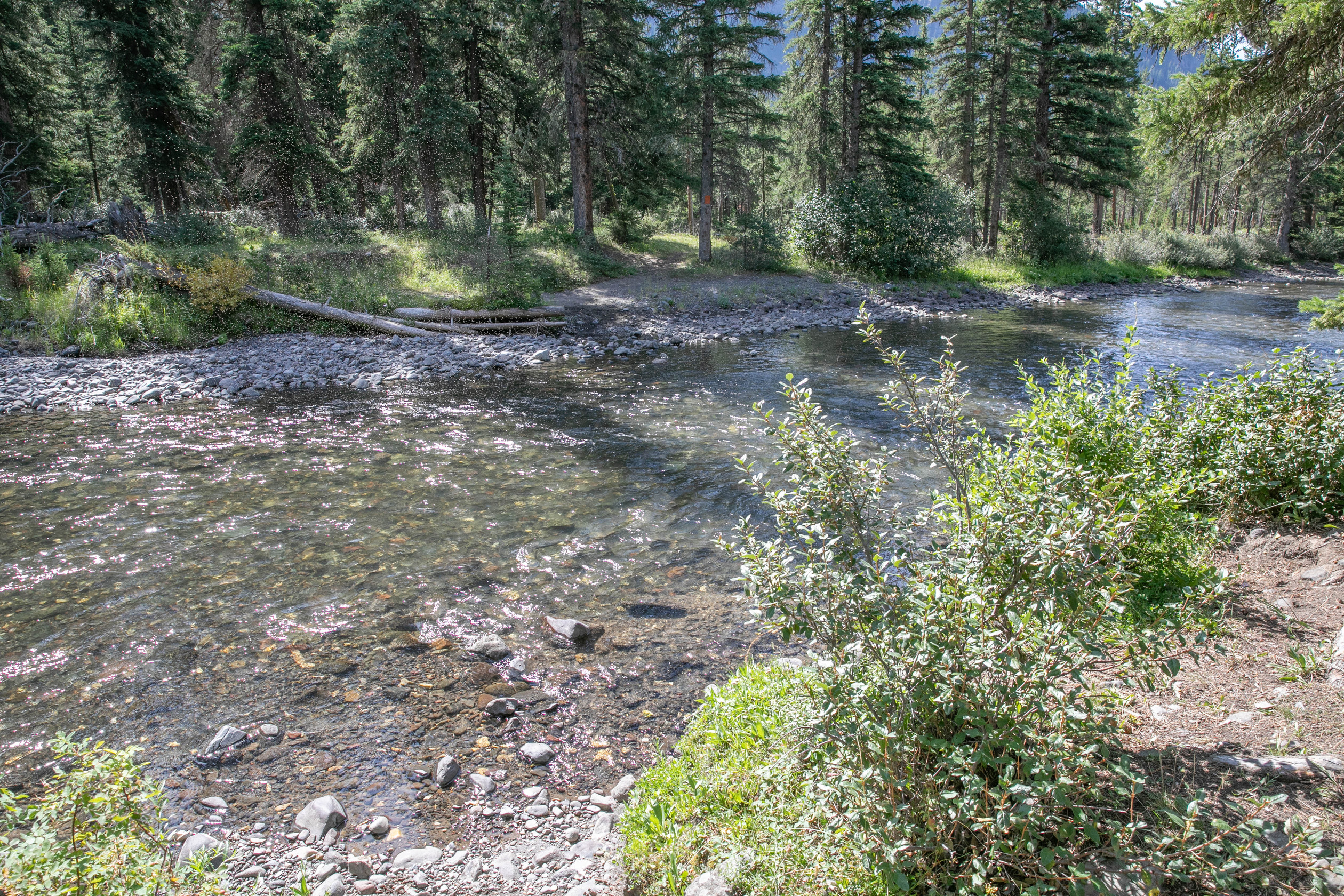Trail comes to a creek crossing