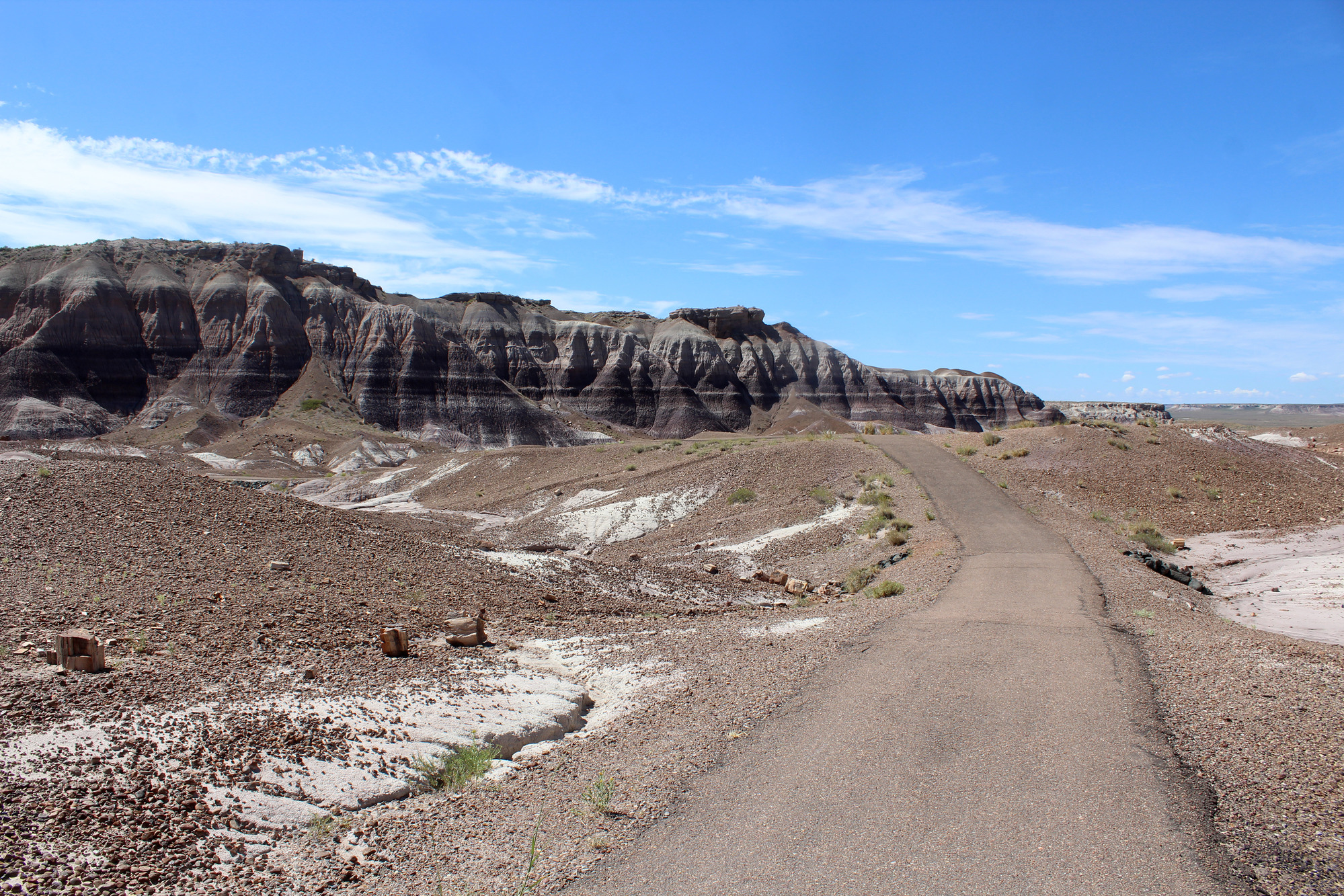 The trail winds over to the opposite ridge along the Blue Mesa Trail loop